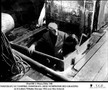 Nosferatu - Murnau.jpg